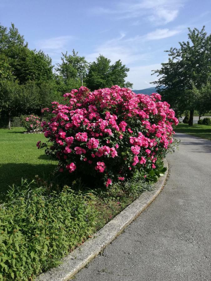 Guesthouse Sebalj Rakovica Exteriör bild