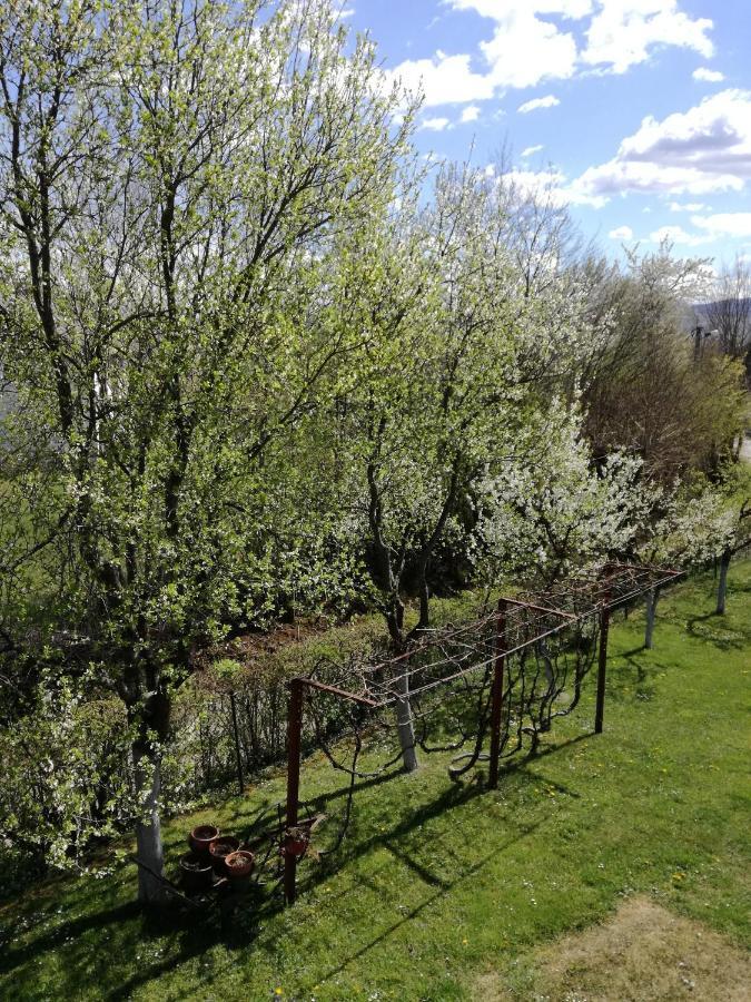 Guesthouse Sebalj Rakovica Exteriör bild
